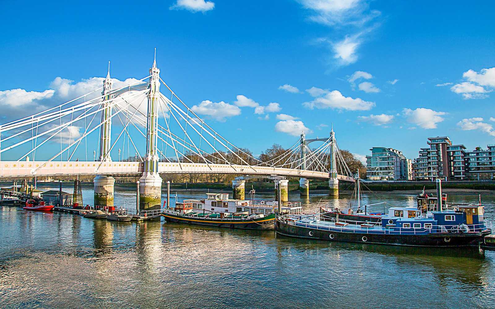 Albert Bridge 