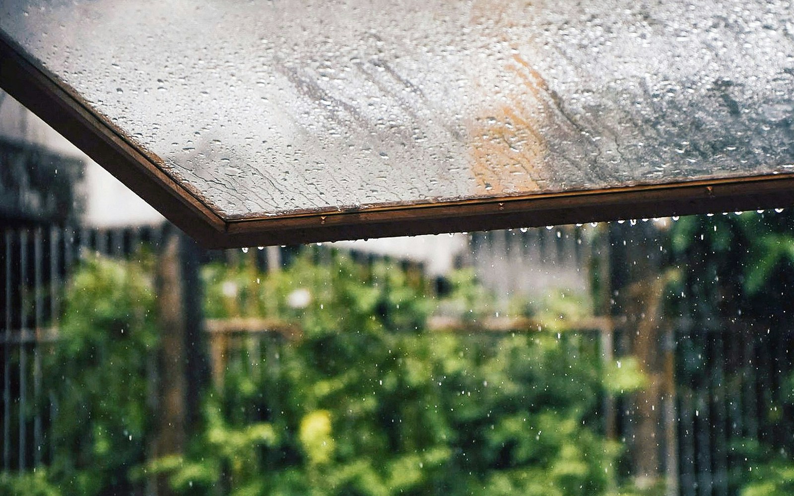 Raindrops on a glass window