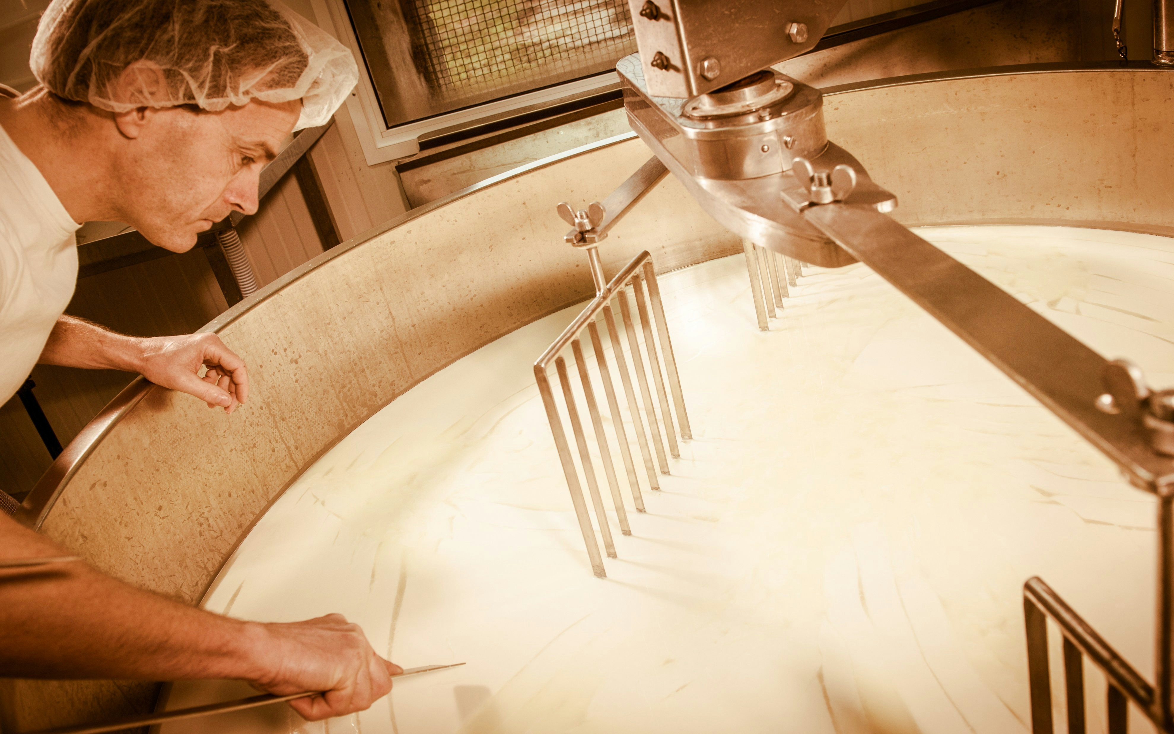 Cheese maker inspecting curd in large vat at cheese farm.