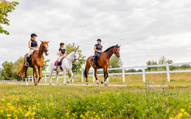 Horseback riders on a scenic trail near Siena, Italy.