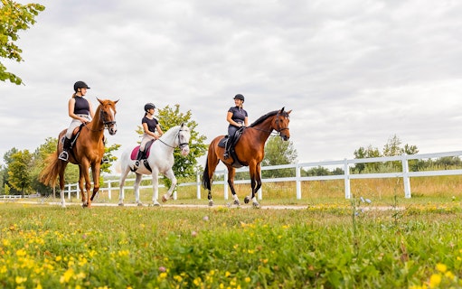 Horseback riders on a scenic trail near Siena, Italy.