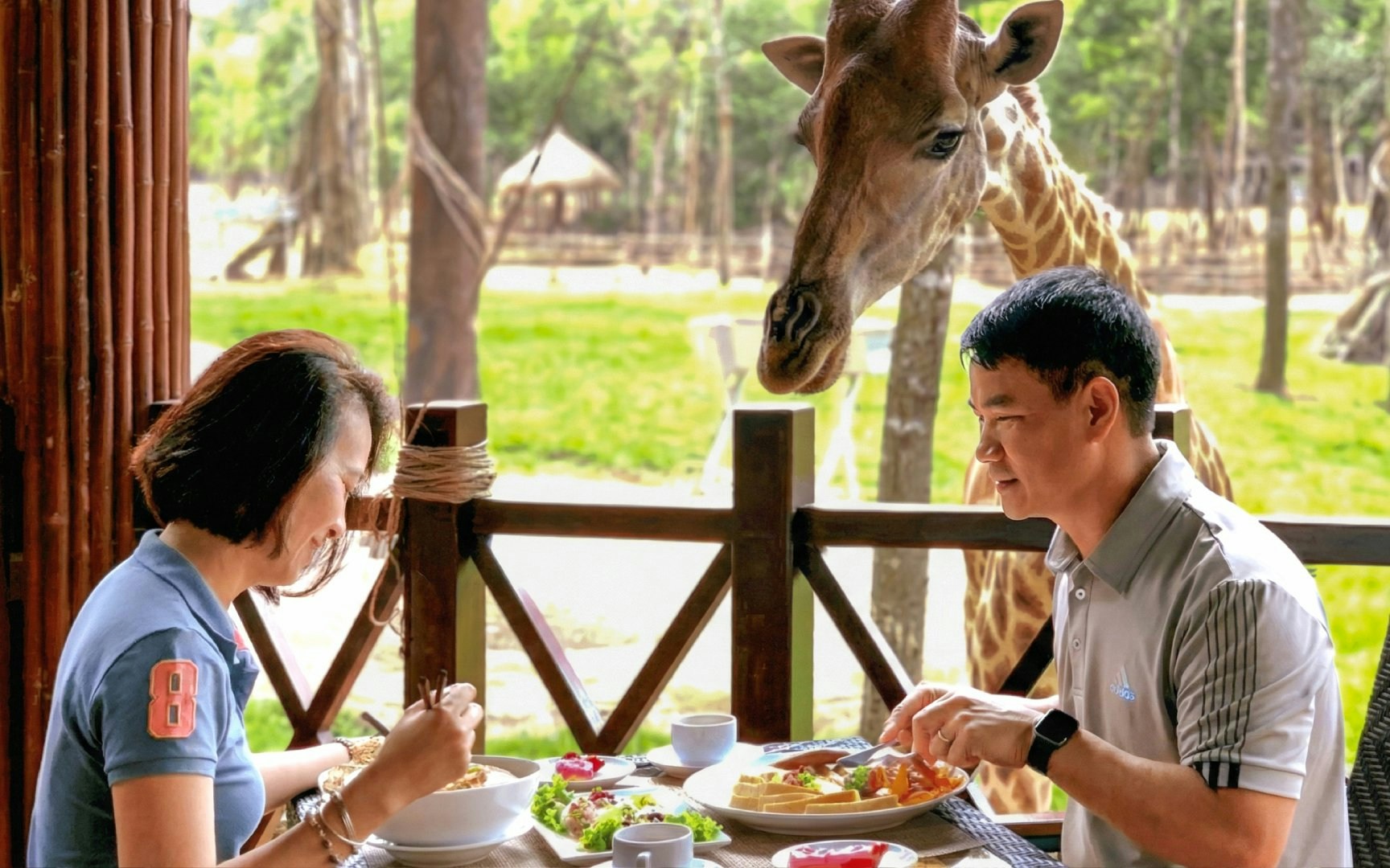 Couple dining with a giraffe nearby at Vinpearl Safari, Vietnam.