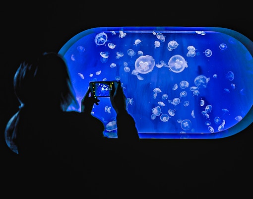 Oceanografic Valencia Mediterranean Aquarium