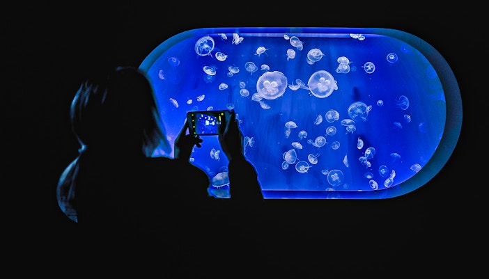 Access Building at Oceanografic Valencia