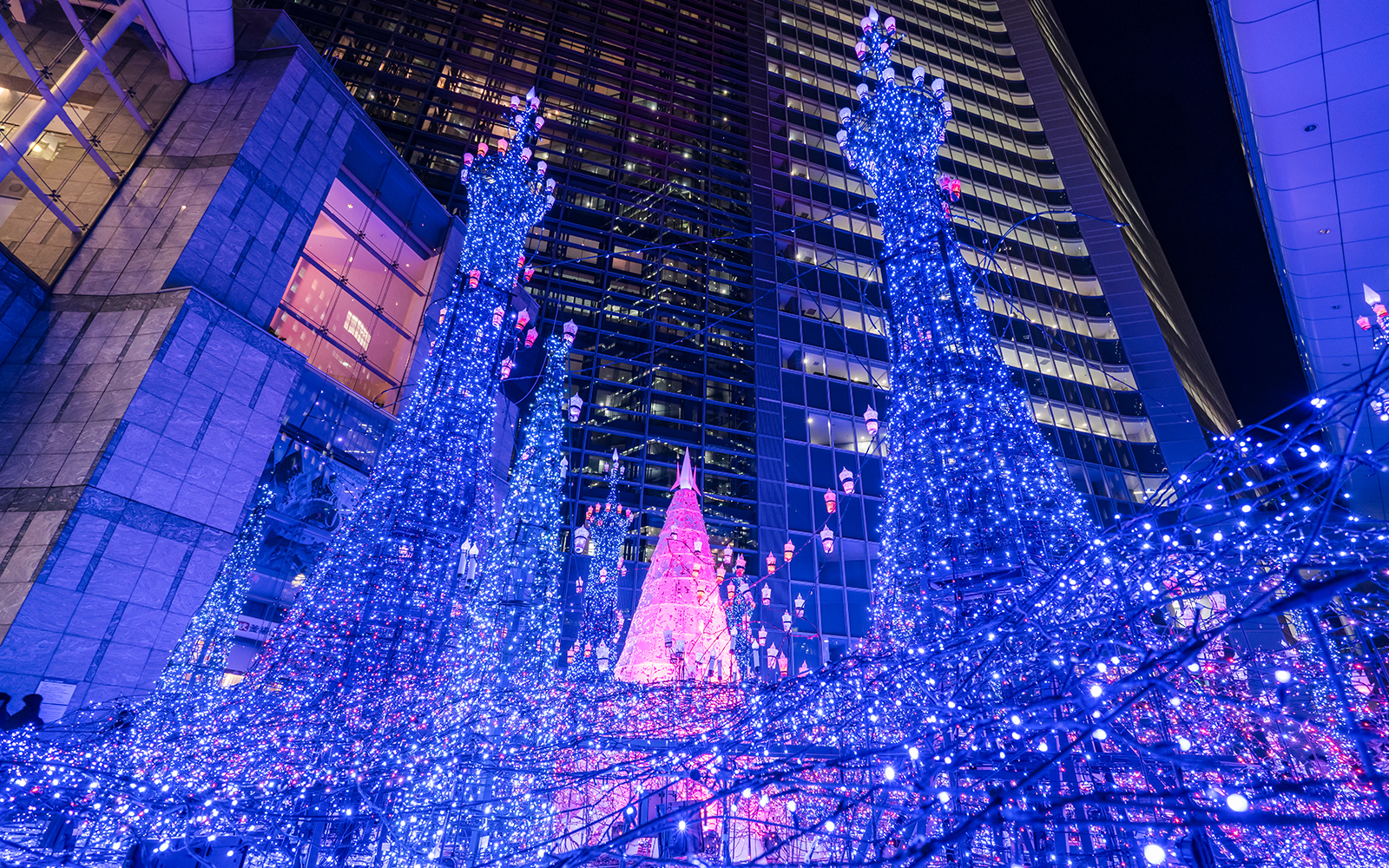 Caretta Shiodome Illumination 