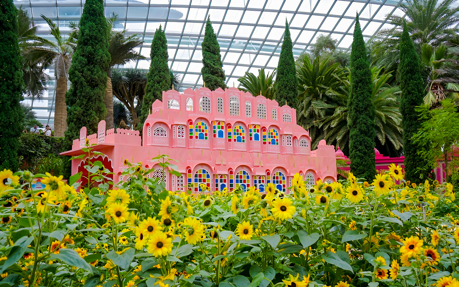 Sunflowers in front of a pink building at Gardens by the Bay, Singapore.