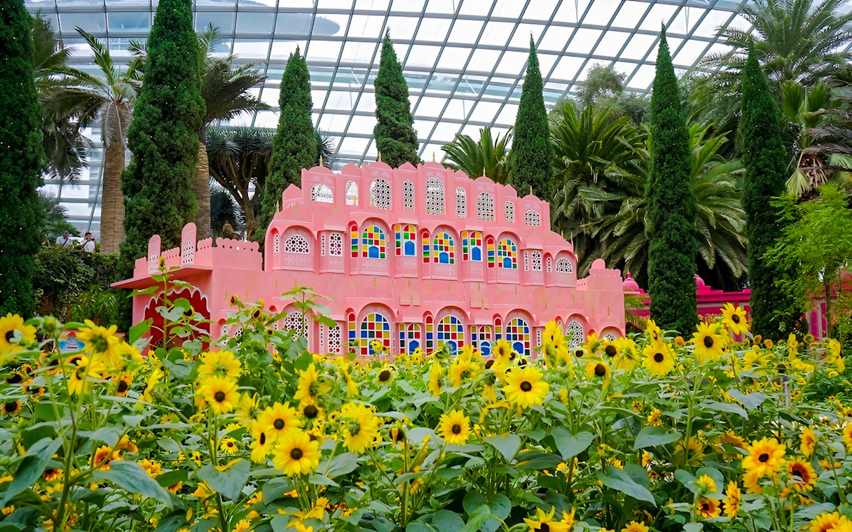 Sunflowers in front of a pink building at Gardens by the Bay, Singapore.