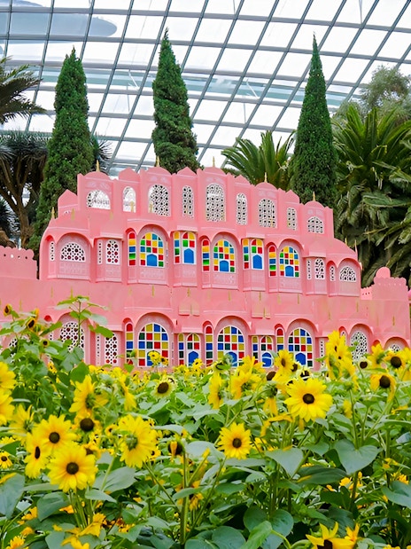 Sunflowers in front of a pink building at Gardens by the Bay, Singapore.