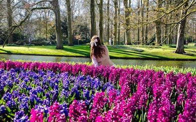 Visitors enjoying vibrant flowers at Keukenhof Gardens, Amsterdam.
