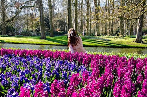Wejście do Keukenhof z transferem z Amsterdamu