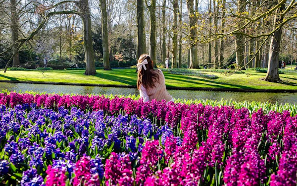 Keukenhof Entry with Transfers from Amsterdam