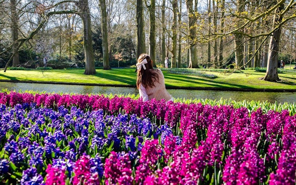 Visitors enjoying vibrant flowers at Keukenhof Gardens, Amsterdam.