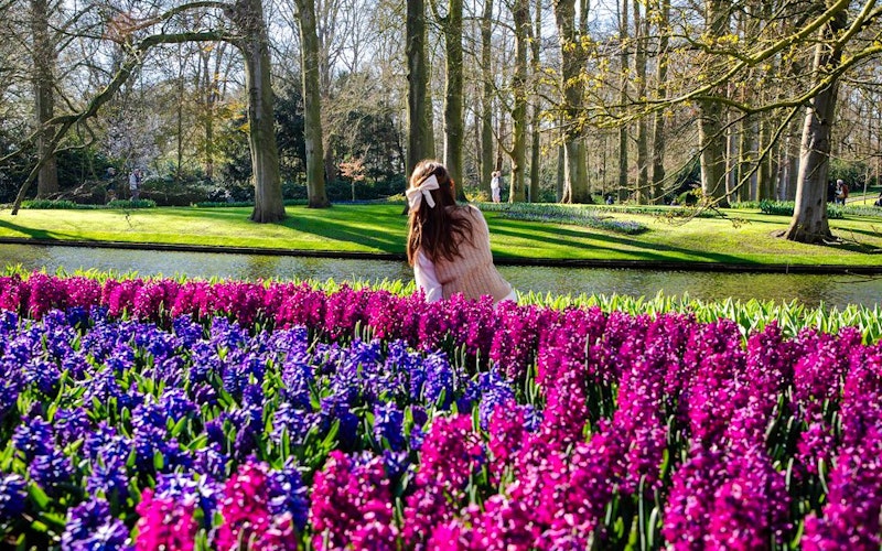 Keukenhof Entry Tickets — gallery 3
