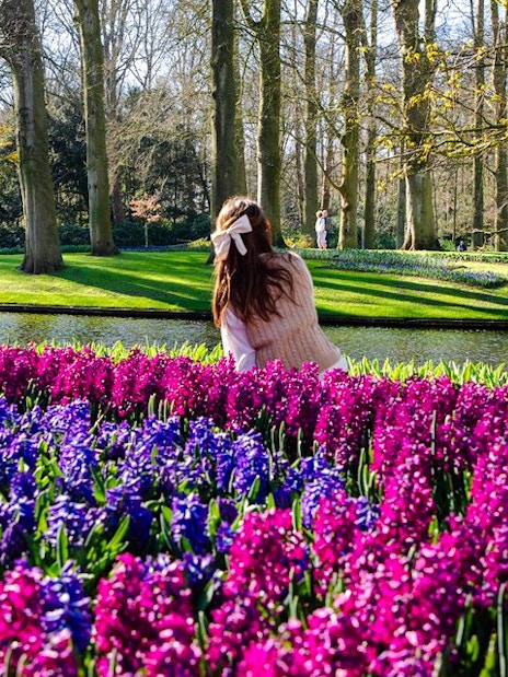 Visitors enjoying vibrant flowers at Keukenhof Gardens, Amsterdam.