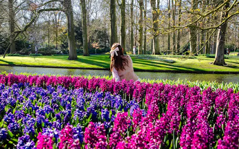 Visitors enjoying vibrant flowers at Keukenhof Gardens, Amsterdam.