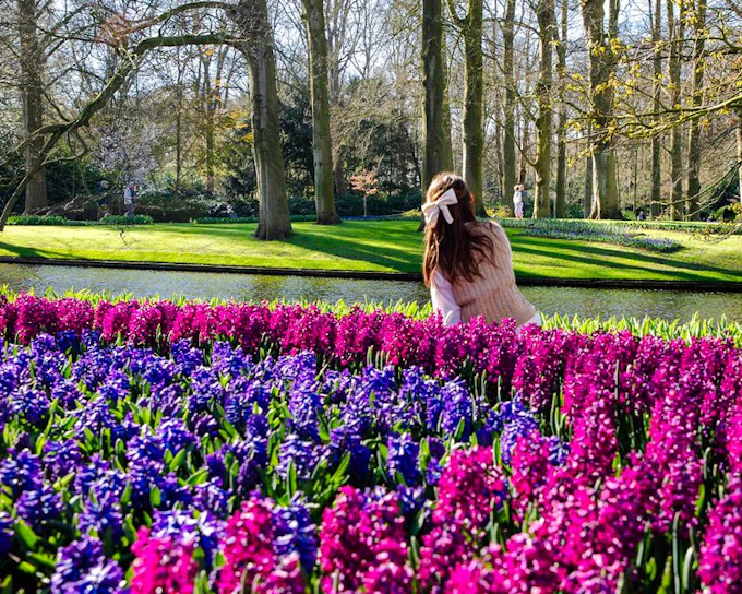 Keukenhof Entry with Transfers from Amsterdam
