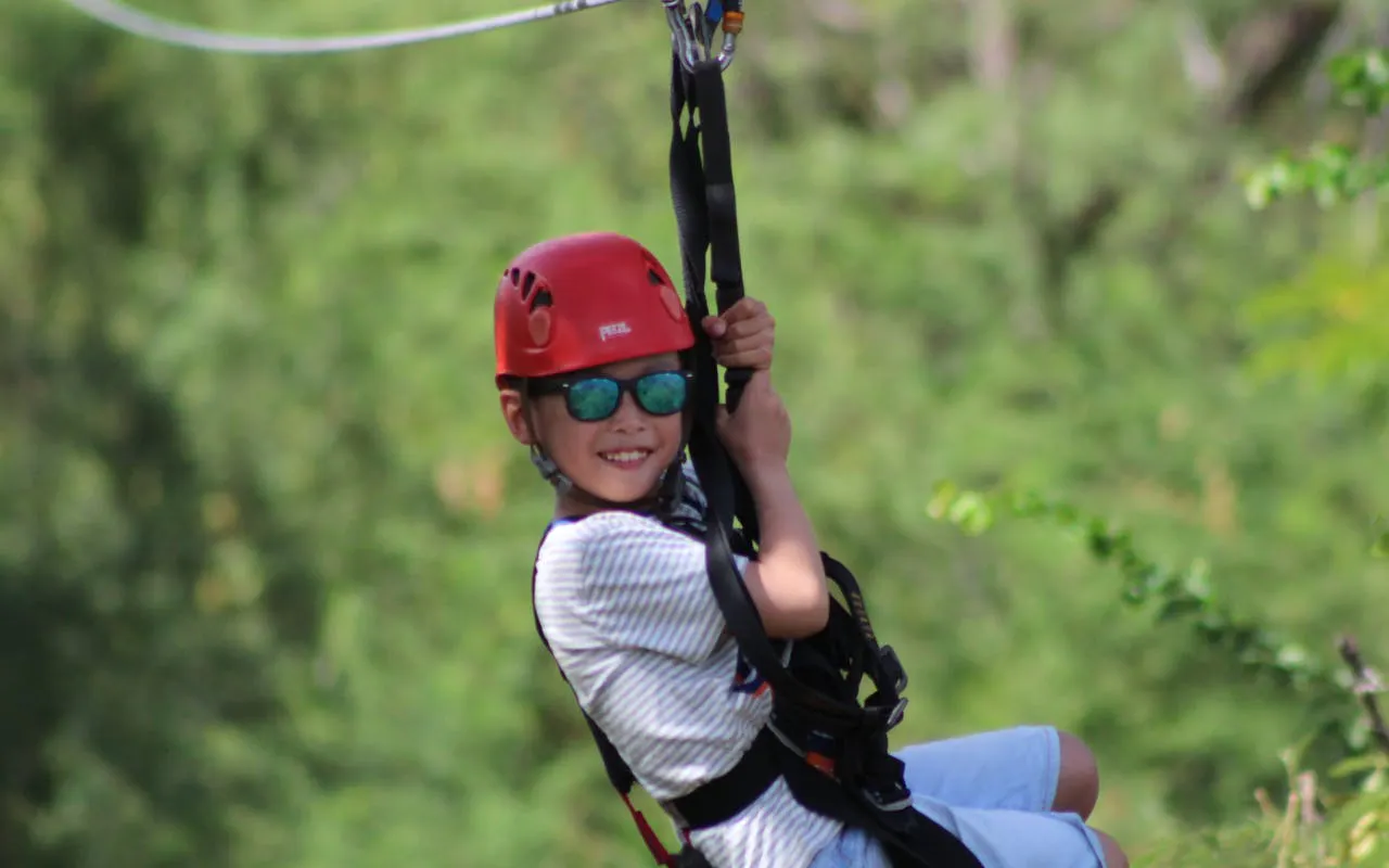 Child enjoying zipline adventure with modern braking system in lush forest setting.