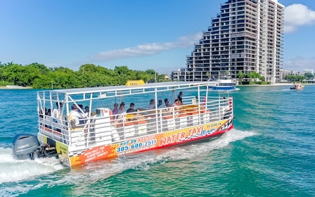 Miami Skyline Cruise of Millionaires’ Homes and Biscayne Bay