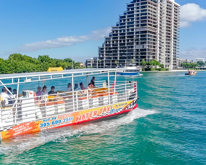 Miami Skyline Cruise of Millionaires’ Homes and Biscayne Bay