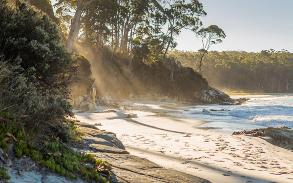5 Day Island Icons Day Tour Bundle - Cradle Mountain, Winegl