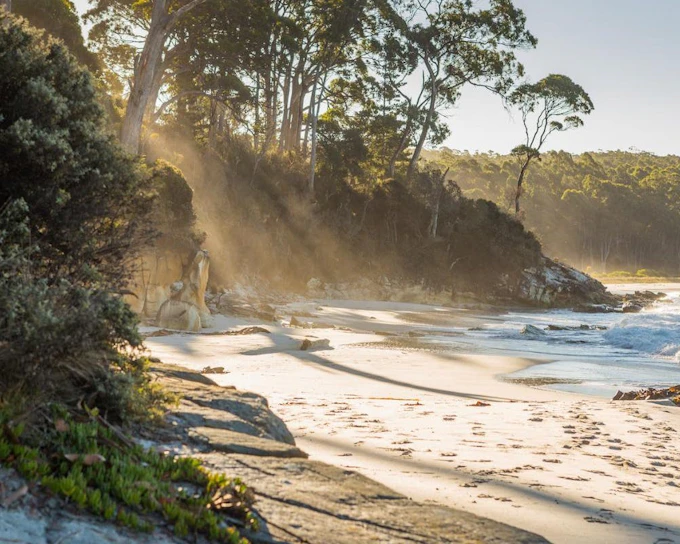 5 Day Island Icons Day Tour Bundle - Cradle Mountain, Winegl