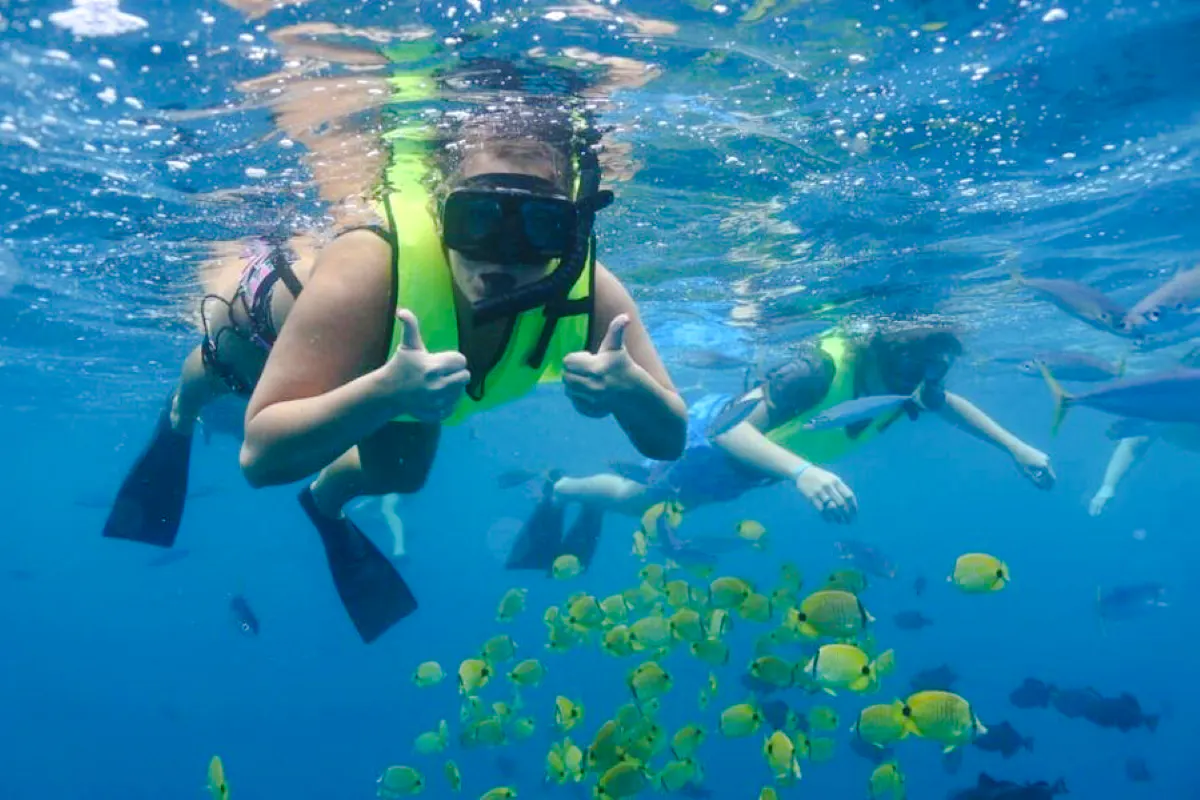 Private Dolphin Tour with Swim and Snorkeling Experience