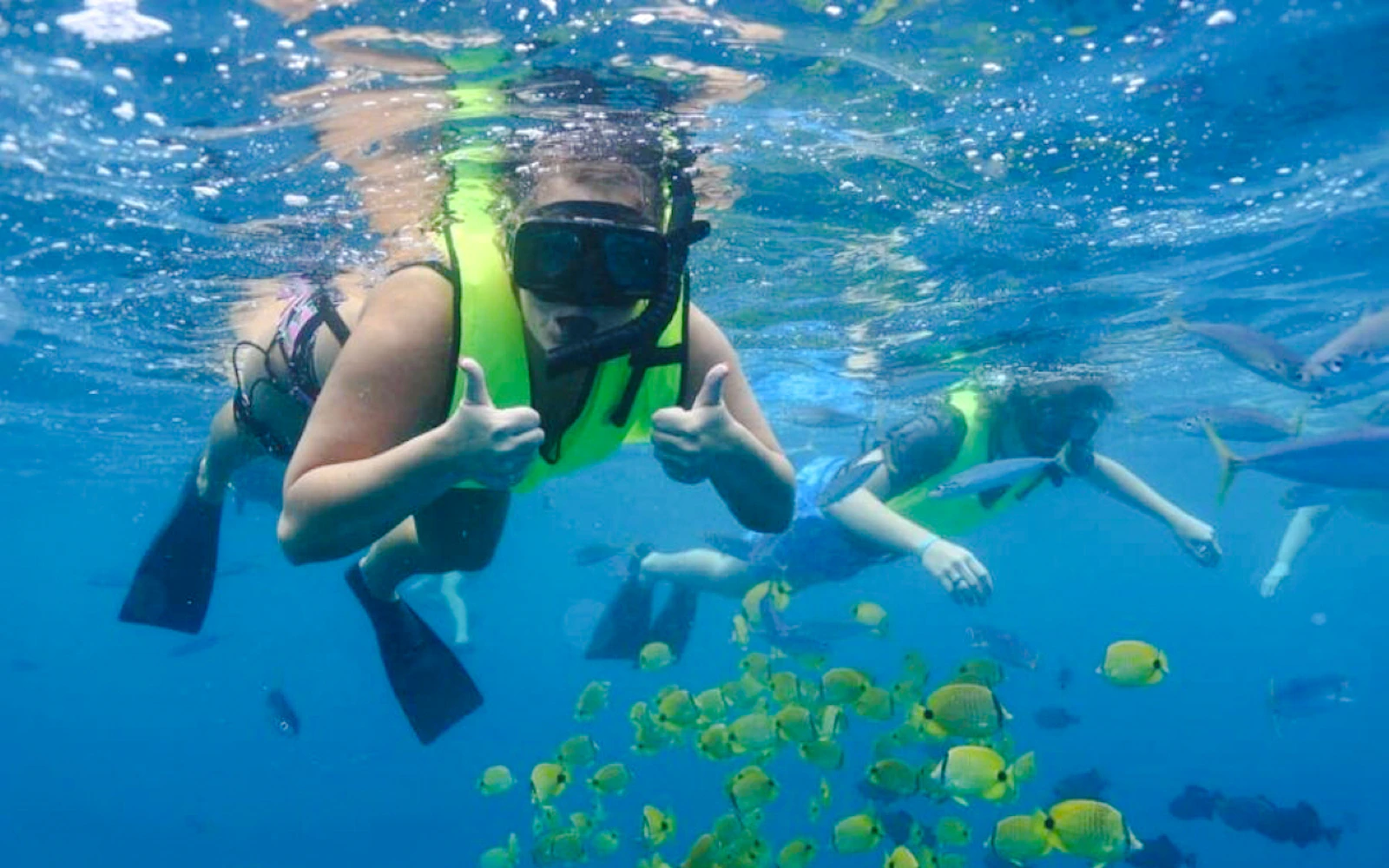 Private Dolphin Tour with Swim and Snorkeling Experience