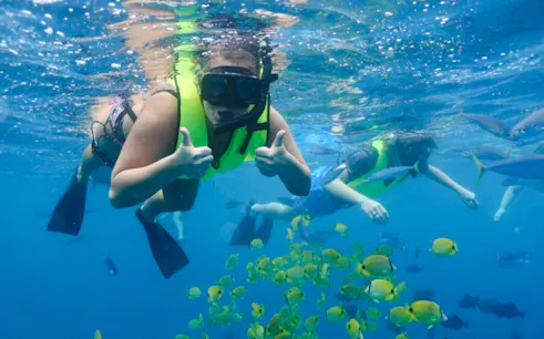 Snorkelers swimming with tropical fish during a private dolphin tour in Bali.