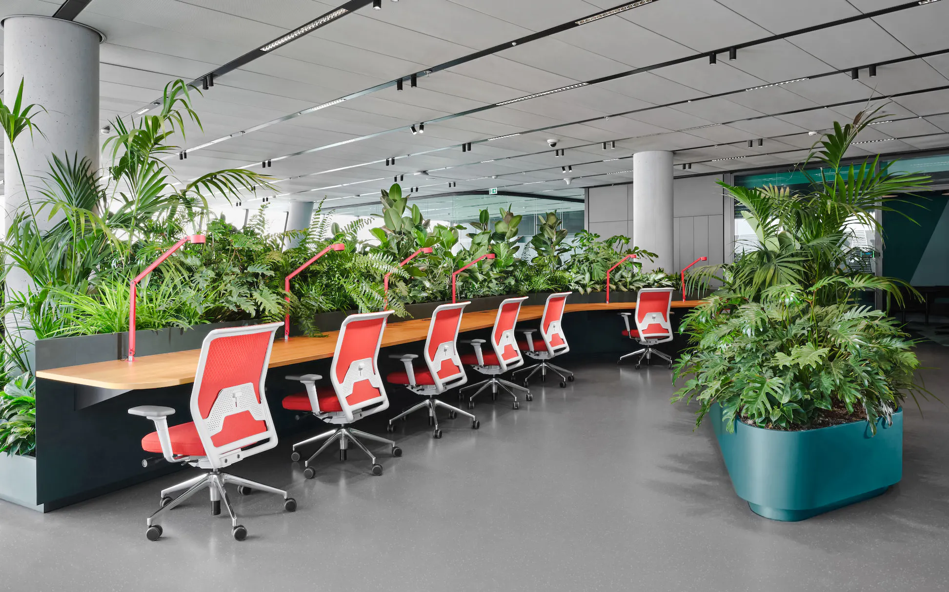 Workspace with red chairs and plants at MOL Campus interior.