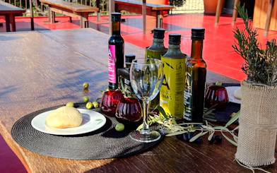 Malaga Olive Oil Museum & Farm Guided Tour with Organic Tasting