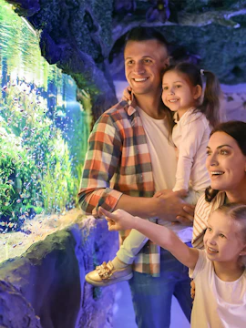 Family enjoying fish display at Seville Aquarium.