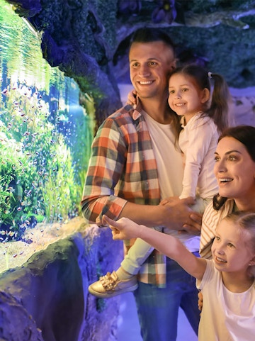 Family enjoying fish display at Seville Aquarium.