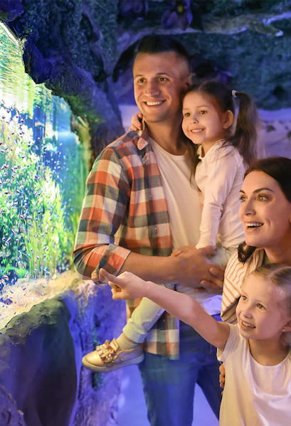Family enjoying fish display at Seville Aquarium.