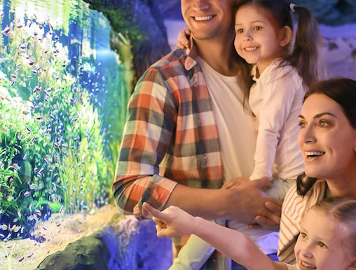 Family enjoying fish display at Seville Aquarium.