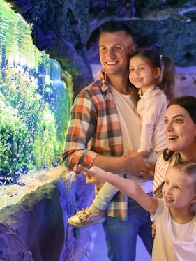 Family enjoying fish display at Seville Aquarium.