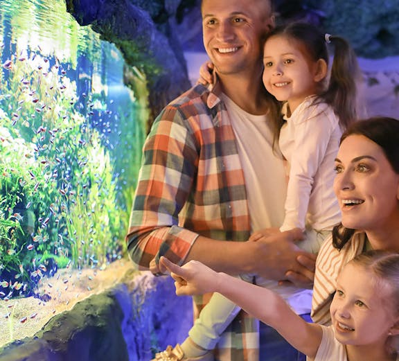 Family enjoying fish display at Seville Aquarium.