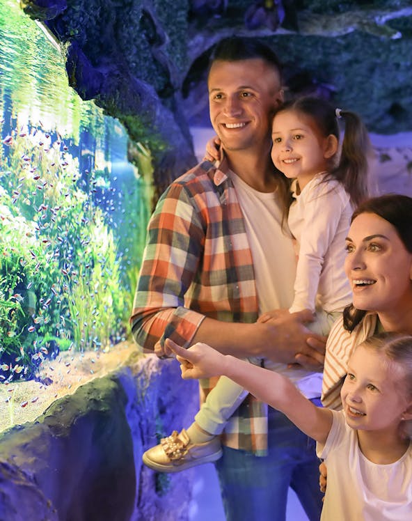 Family enjoying fish display at Seville Aquarium.
