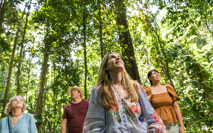 Visitors exploring the lush Daintree Rainforest canopy on a guided tour from Cairns.