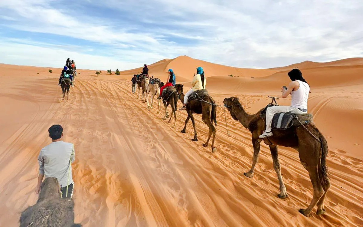 Camel trek through Merzouga Dunes during 3-day desert tour.