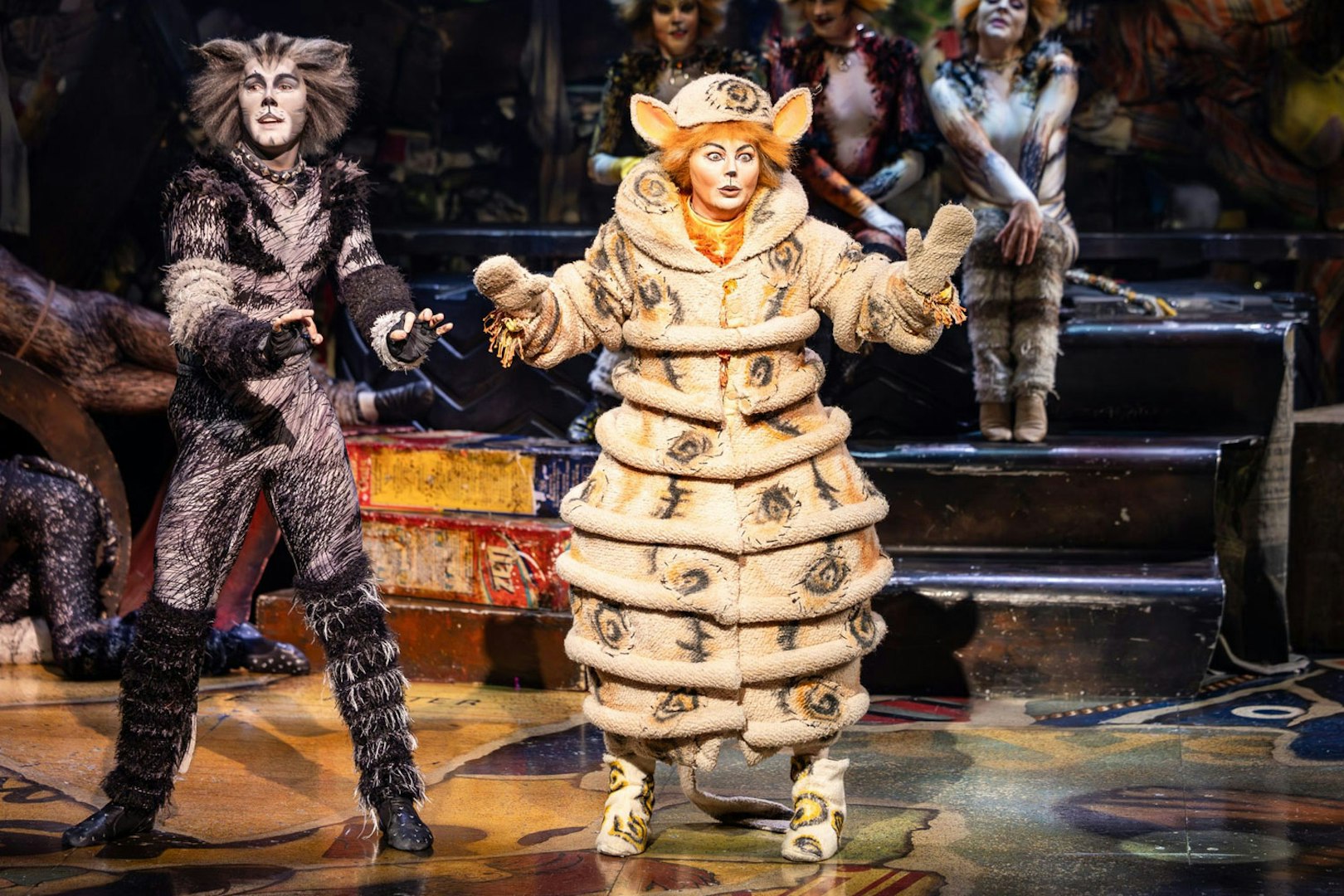 Performers in cat costumes on stage at Cats show in Perth.