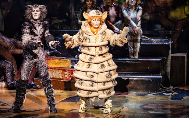 Performers in cat costumes on stage at Cats show in Perth.