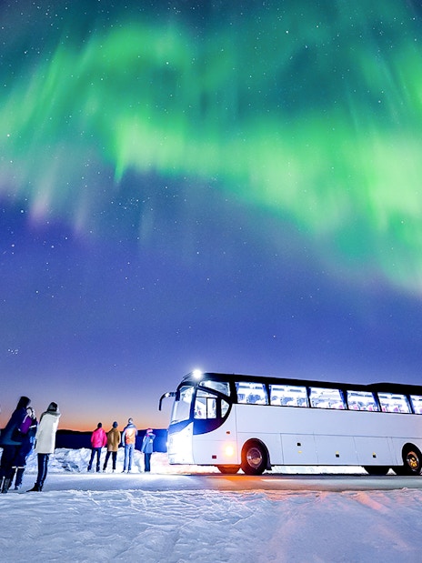 Tourists stand near a bus under the Northern Lights in a snowy landscape.