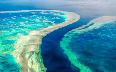 Aerial view of the Great Barrier Reef's vibrant coral formations in Whitsundays, Australia.