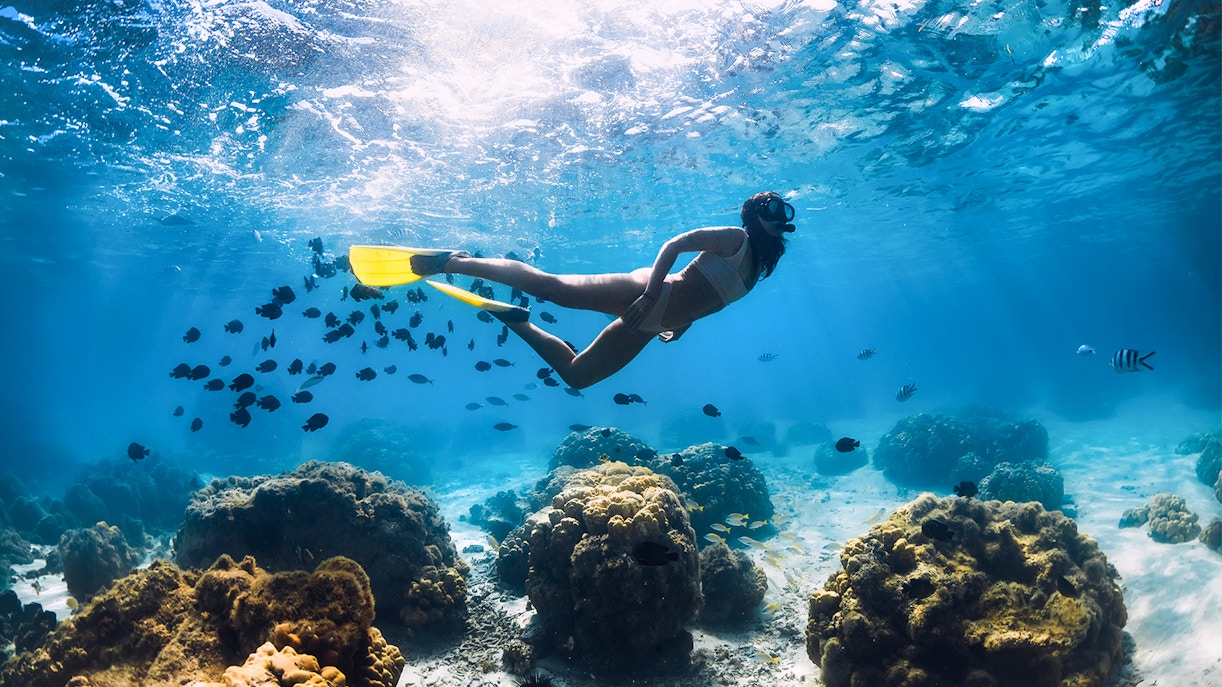 Girl snorkeling over coral reefs and fish in Maui, Hawaii.