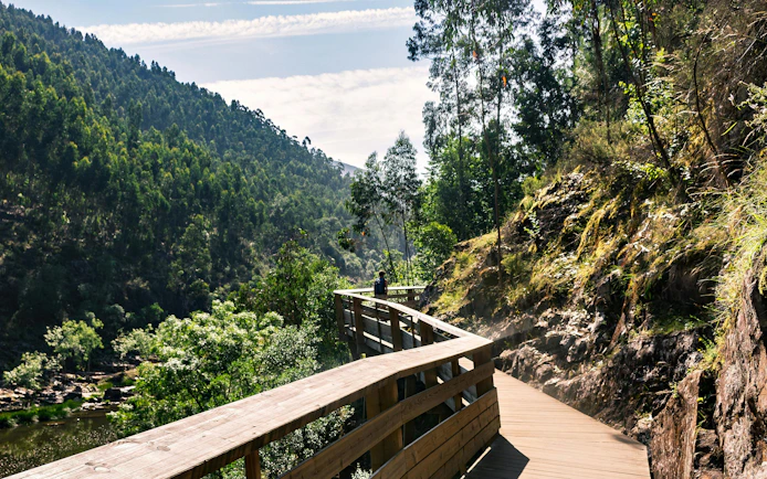 Passadiços do Paiva wooden walkway through lush forested hills in Portugal.