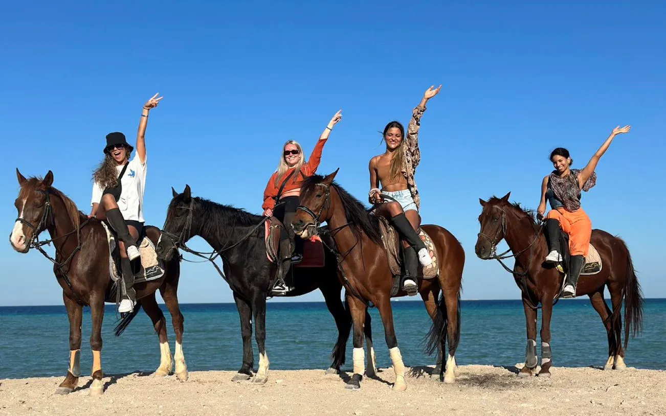 Nabq Bay Horse Riding Experience with Hotel Transfers and Guide Image 8