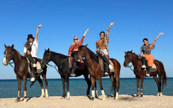 Horse riders on Nabq Bay beach with clear blue sky and sea.