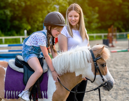 Wroclaw Zoo highlights