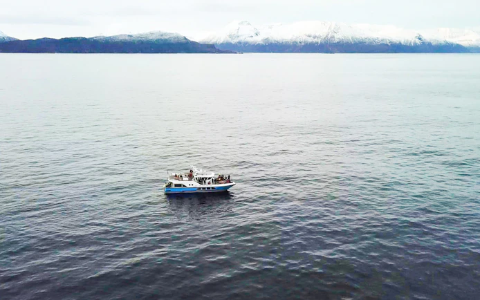 Cruise ship on Tromsø waters with snowy mountains in the background during whale watching tour.