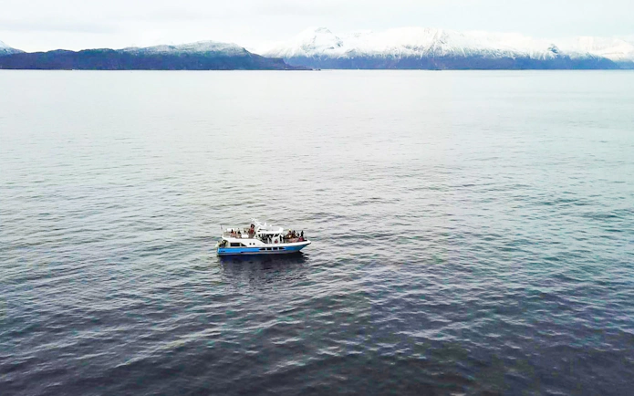 Cruise ship on Tromsø waters with snowy mountains in the background during whale watching tour.